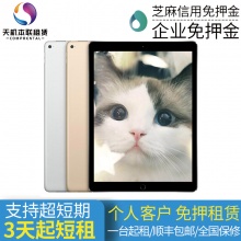 苹果iPad Pro1代128G/12.9寸